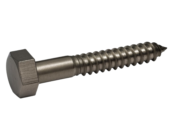 Hexagonal Lag Screw Stainless Steel 1/2 * 2-1/2"